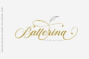Analogous | Elegant Calligraphy, a Script Font by Analogous (Thumbnail 12 of 14)