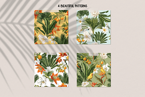 Vintage Botanical Clipart Bundle