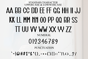 Sunday Birthday, a Script Font by FreshTypeINK (Thumbnail 3 of 7)