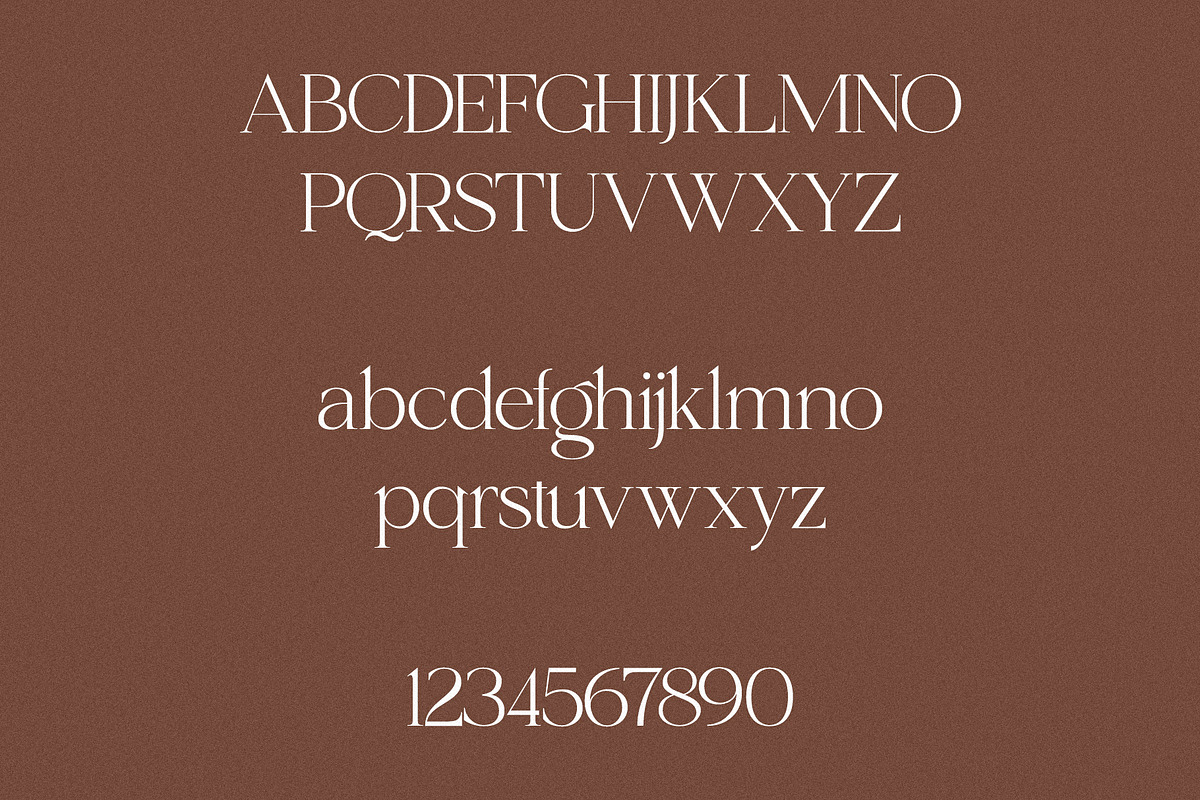 Shoreline - Elegant & Classic Serif, a Serif Font by Misha Sova (Photo 7 of 8)