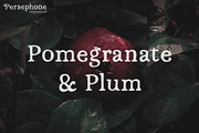 Persephone // A Hand-Drawn Serif, a Serif Font by Megs Lang (Thumbnail 6 of 25)