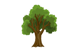 Kind of tree icon . Deciduous, an Object Illustration by Things for designers