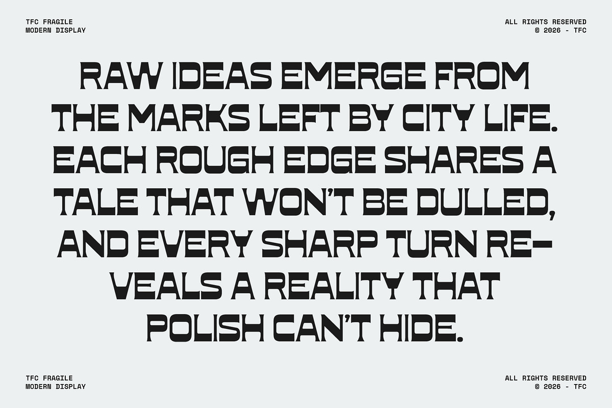 TFC Fragile Font, a Sans Serif Font by Type Flock (Photo 14 of 17)
