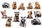 Watercolour Animals and plants, an Animal Illustration by AkvarelRiver (Thumbnail 5 of 16)