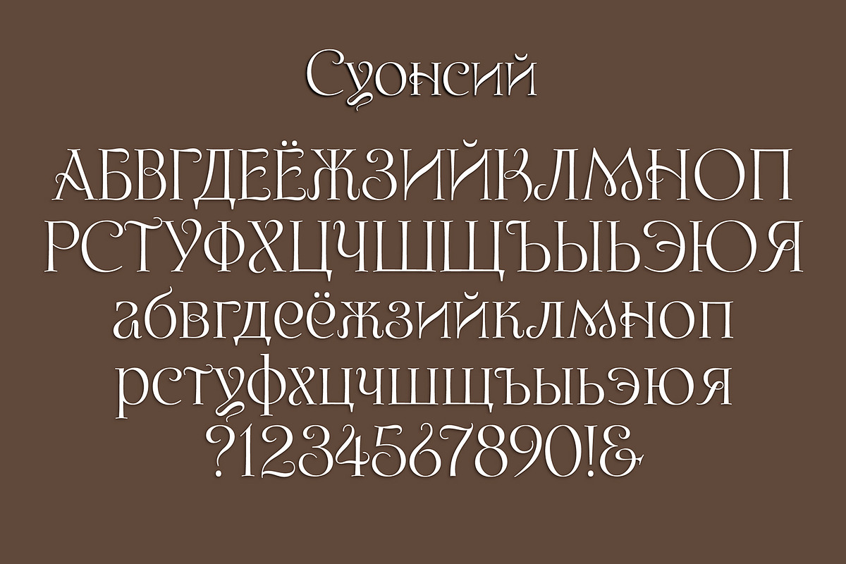 Swansea Cyrillic Font, a Serif Font by Mysterylab Designs (Photo 6 of 8)