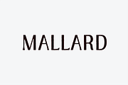 MALLARD FONT, a Font by NorthOfCopper (Thumbnail 1 of 5)