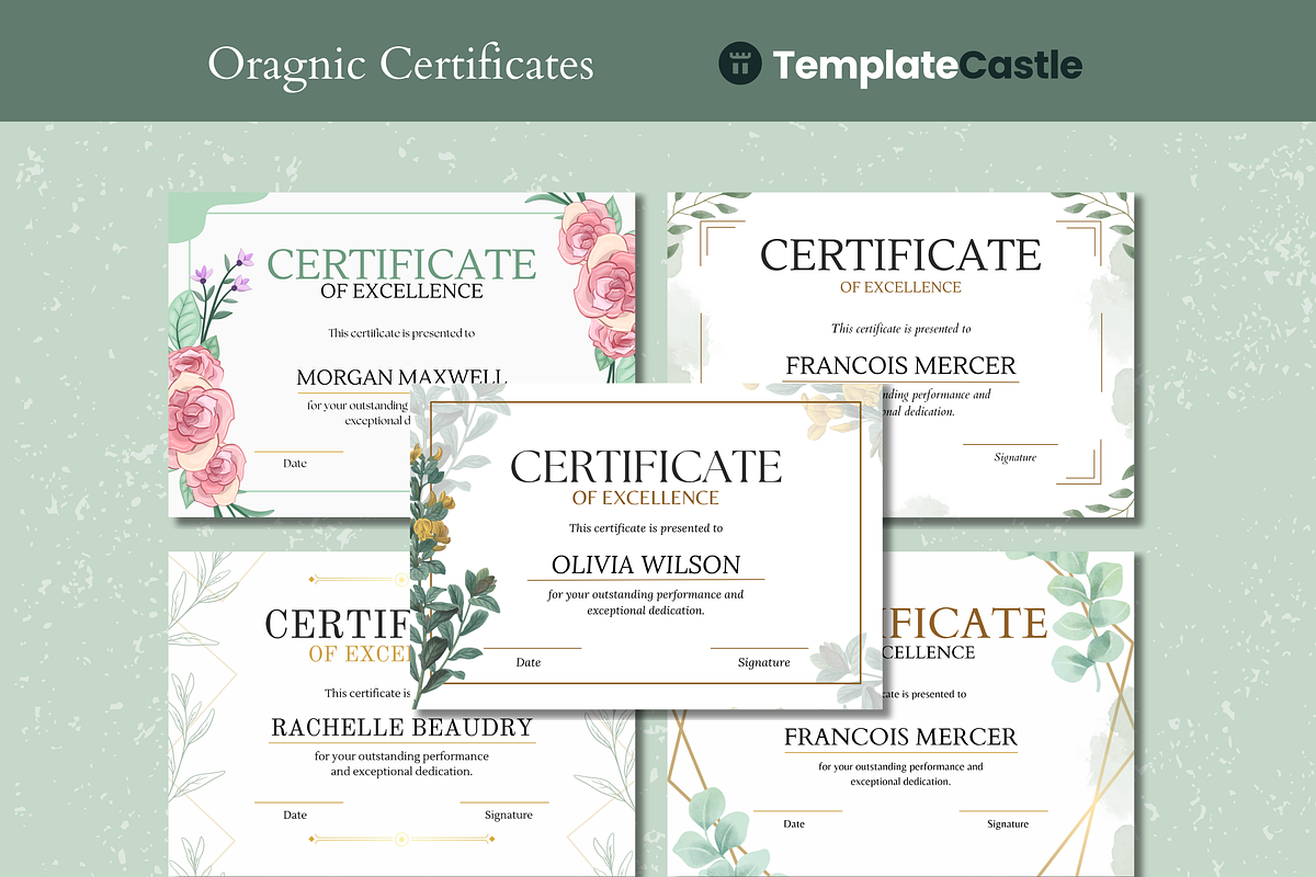 5 Organic Certificates Templates, a Templates & Theme by TemplateCastleStore (Photo 1 of 9)