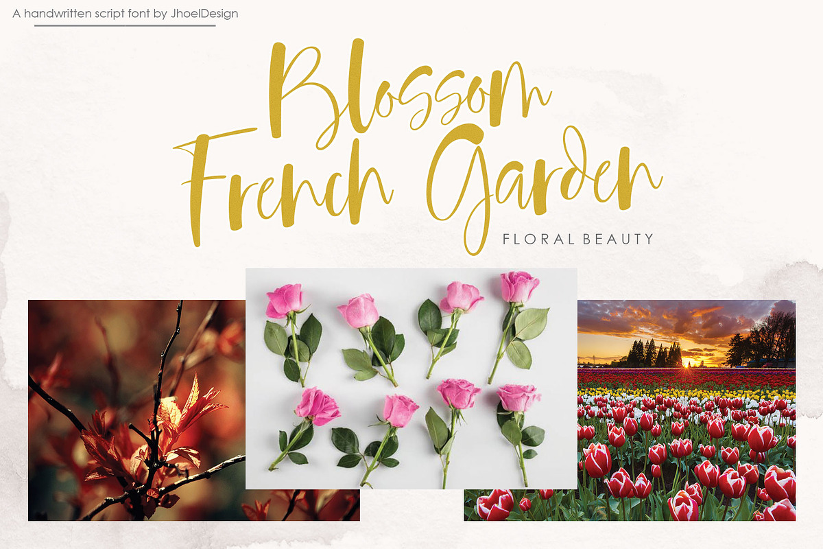 Sandley | Handwritten Script Font preview 3