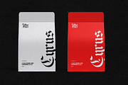 Lothar Reiner – Gothic Blackletter, a Blackletter Font by Inviline.co (Thumbnail 12 of 15)