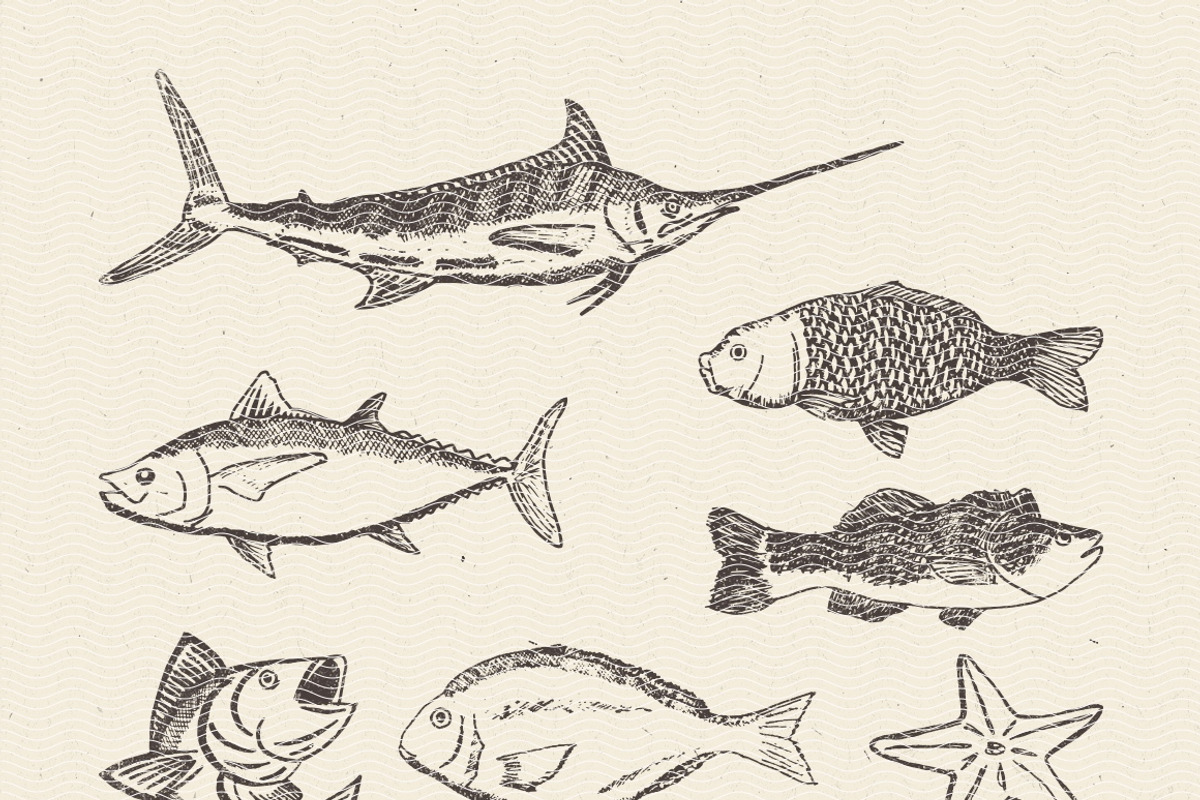 Yummy - Seafood, a Food Illustration by Unio Designs (Photo 4 of 4)