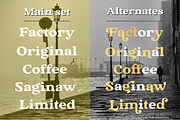 The Buchen, a Serif Font by Larin Type Co. (Thumbnail 8 of 13)