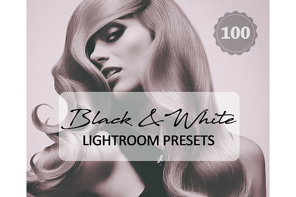 100 Black White Lightroom Presets preview 6