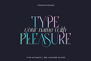 Type Ultimate - serif logo font, a Serif Font by VP Fonts (Thumbnail 22 of 24)