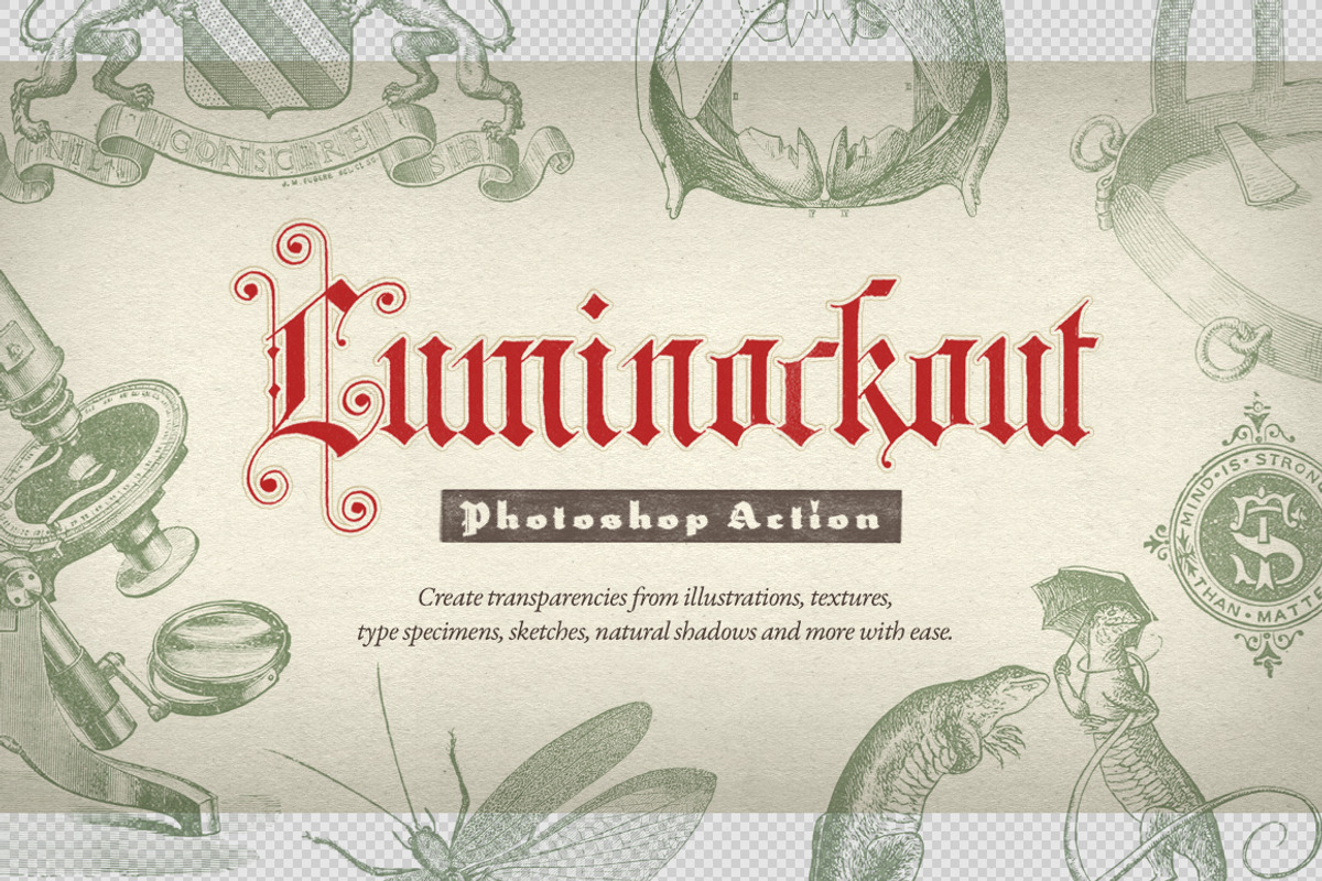 WHB Luminockout