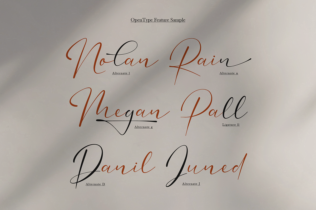 Veloncy Claus | Classic Signature, a Script Font by Denustudios (Photo 7 of 12)