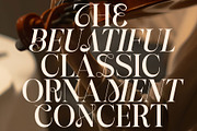Branela Experiemental Serif font, a Serif Font by RantautypeStudio (Thumbnail 8 of 15)
