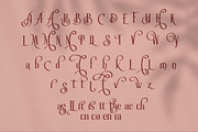 Roller Coaster Serif (Bonus), a Serif Font by Anxiety Studio (Thumbnail 19 of 19)