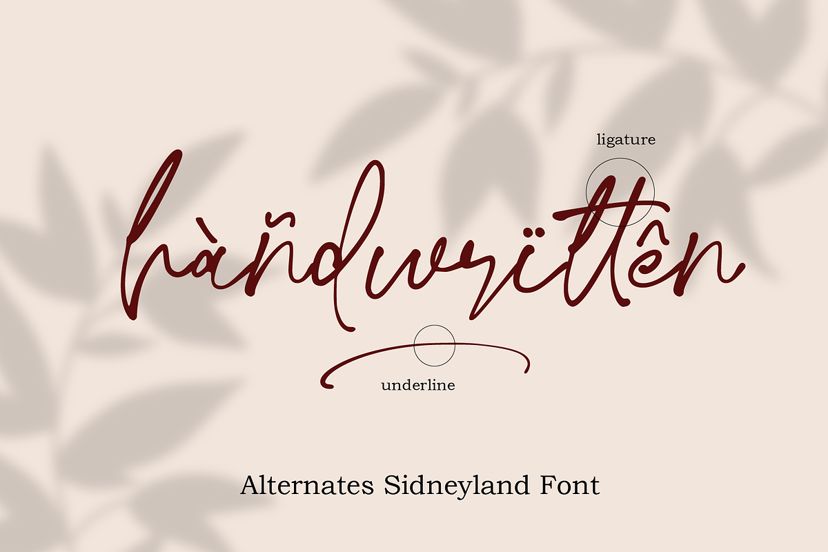 Sidneyland, a Script Font by Ibrahima_Studio (Photo 10 of 13)