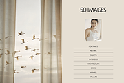 The Neutrals / 50 Soft Stock Images, a Nature Photo by Made by Attic (Thumbnail 2 of 6)