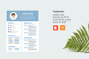 BRIGHT Resumes Bundle, a Resume Template by slidequest (Thumbnail 2 of 11)