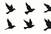 Flying Bird Silhouette Bundle, an Illustration by hafijul (Thumbnail 3 of 10)