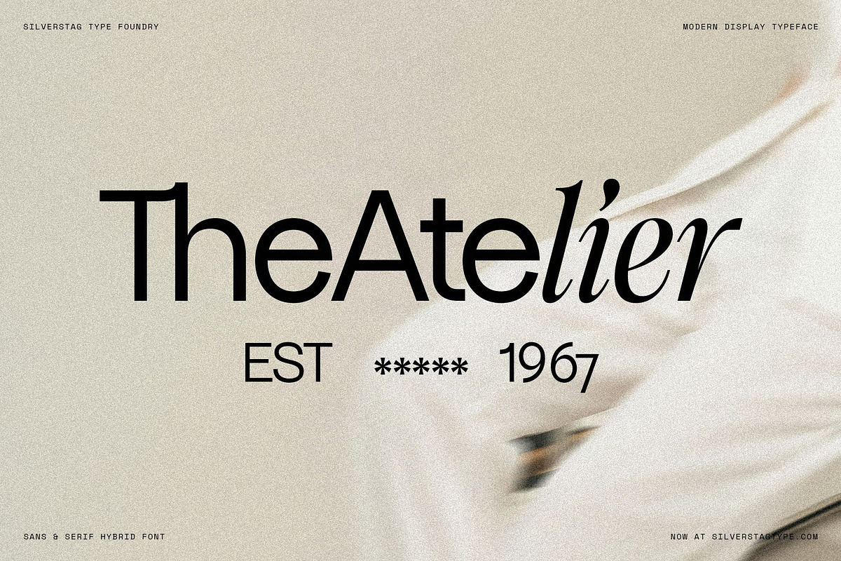 Dessign Maison - Hybrid Display Font, a Serif Font by SilverStag Type Foundry (Photo 6 of 18)