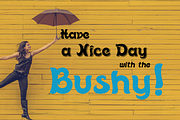 Bushy font family, a Script Font by vlad.berla (Thumbnail 11 of 12)
