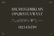 Vogue Elegant Serif Font, a Serif Font by Perfectype (Thumbnail 6 of 6)