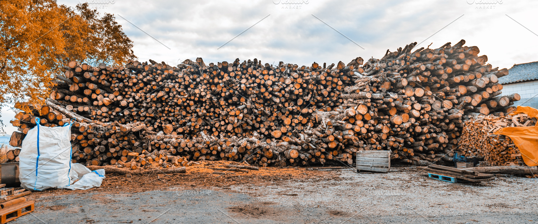 Large Stack Of Timber Logs, an Industrial Photo by SkyNext