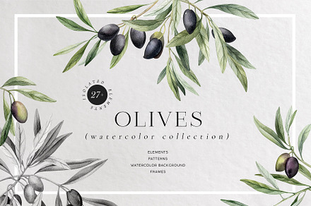 Olives. Watercolor collection, a Food Illustration by AleksaArt