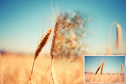 [91% OFF] Dispersion Actions Bundle, an Action Add-On by ArtPlanet (Thumbnail 10 of 33)