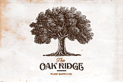 Vintage Oak Tree Illustration, an Object Graphic by RMPL.std (Thumbnail 4 of 5)