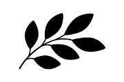 Botanical Leaf Silhouette Bundle, an Illustration by Creativeshirt (Thumbnail 8 of 51)