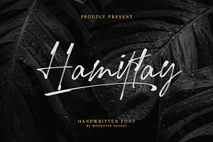 Hamiltay Handwritting Font