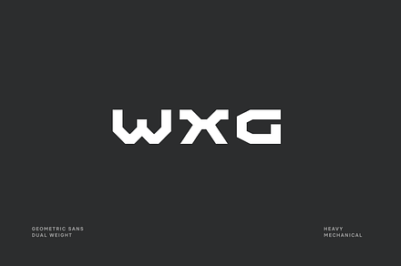 WXG Sans Font, a Sans Serif Font by baqoos