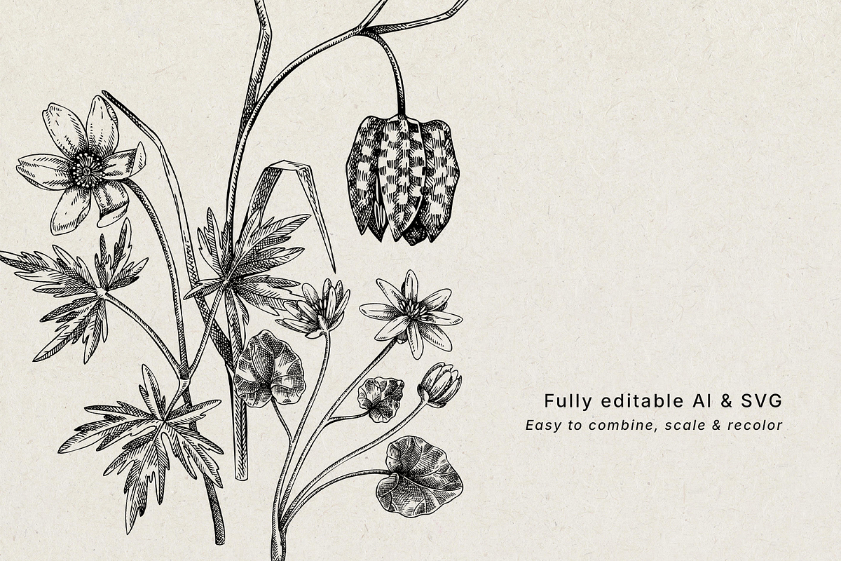 Spring Wildflower Vintage Vector Set, a Seasonal Illustration by Yevheniia (Photo 7 of 9)