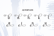 Brushed | Script Font, a Handwritten Font by Scratchones (Thumbnail 8 of 9)