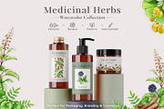 Medicinal Herbs Watercolor Clipart, a Healthcare Illustration by AnitaPol (Thumbnail 9 of 11)