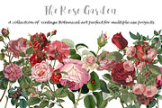 Rose Garden, an Invitation Template by Ginger Duck Graphics (Thumbnail 1 of 6)