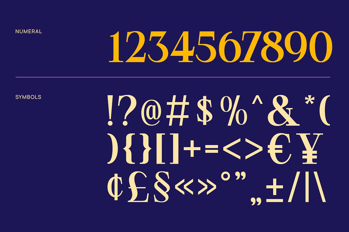 Meglo - Elegant Modern Serif Font, a Serif Font by Pekotype (Photo 4 of 15)