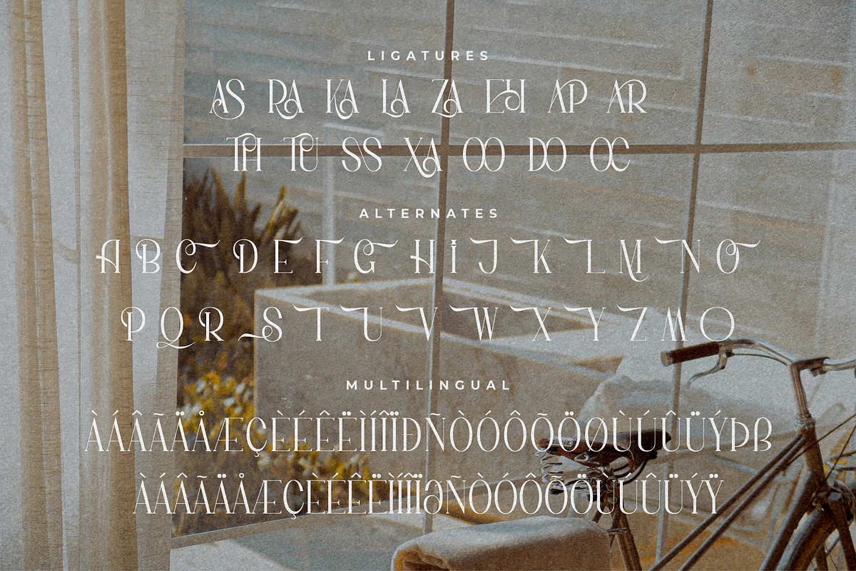 Rematho Klorofiland Duo Font, a Serif Font by Storytype Studio (Photo 12 of 15)