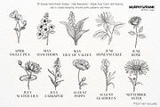 Birth Flower Procreate Brush Stamps, a Brush Add-On by Murphy & Frank (Thumbnail 3 of 4)