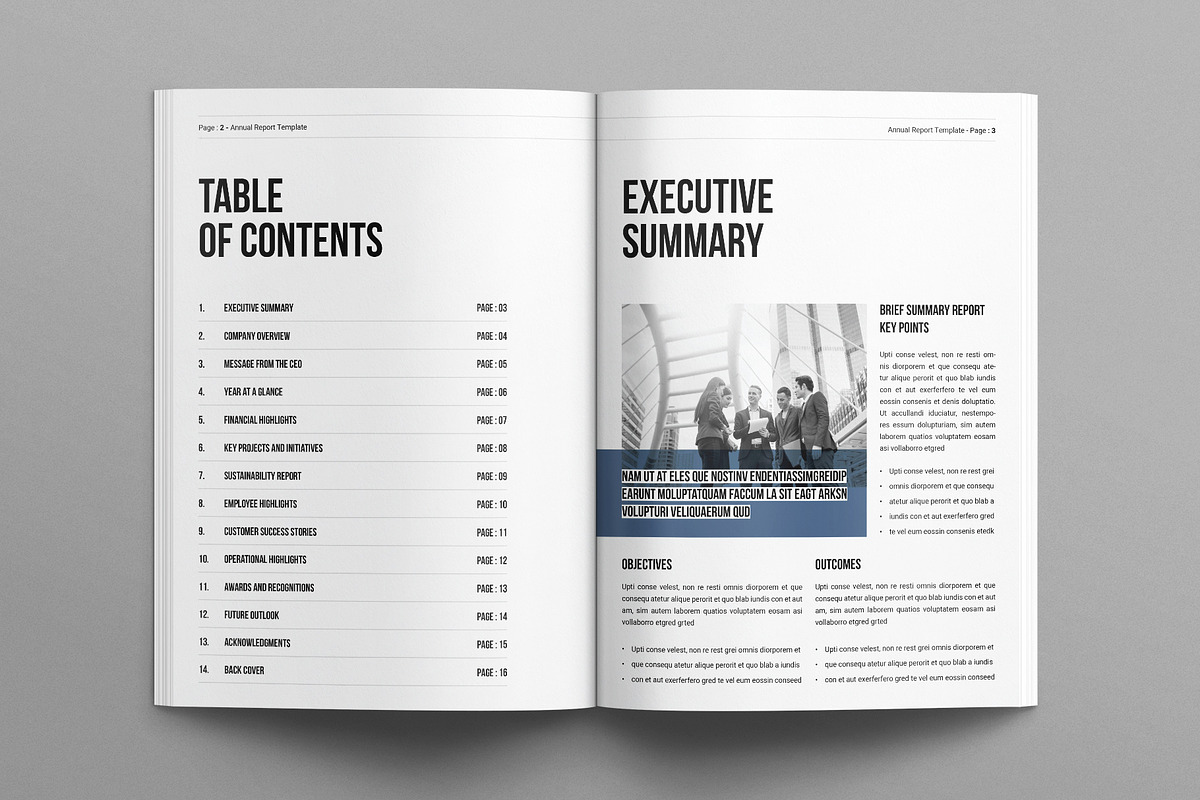 Annual Report Brochure Template, a Brochure Template by E-Type (Photo 2 of 7)