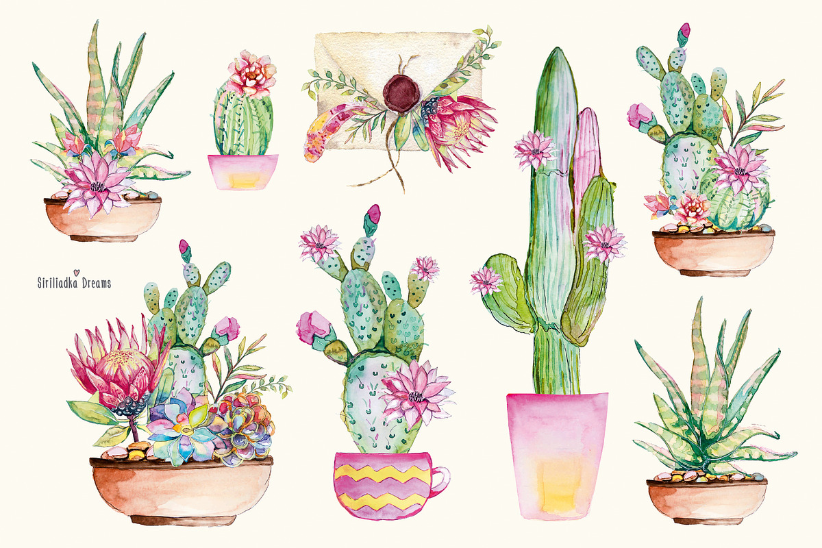 Watercolor cactus and succulents, a Decorative Illustration by Siriliadka Dreams (Photo 6 of 9)