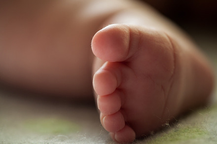 Close up of newborn baby leg. Beautiful newborn baby legs on a soft blanket, a Person Photo by Rohan Photography