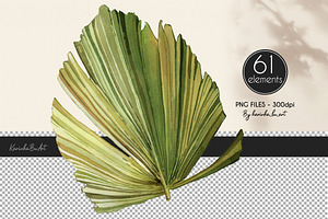 Watercolor Greenery Leaves 77PNG Kit