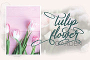 Aneisha Script, a Script Font by Jhoel Design (Thumbnail 6 of 7)