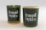Theforest Modern Serif Font, a Serif Font by timelesstype.co (Thumbnail 2 of 20)