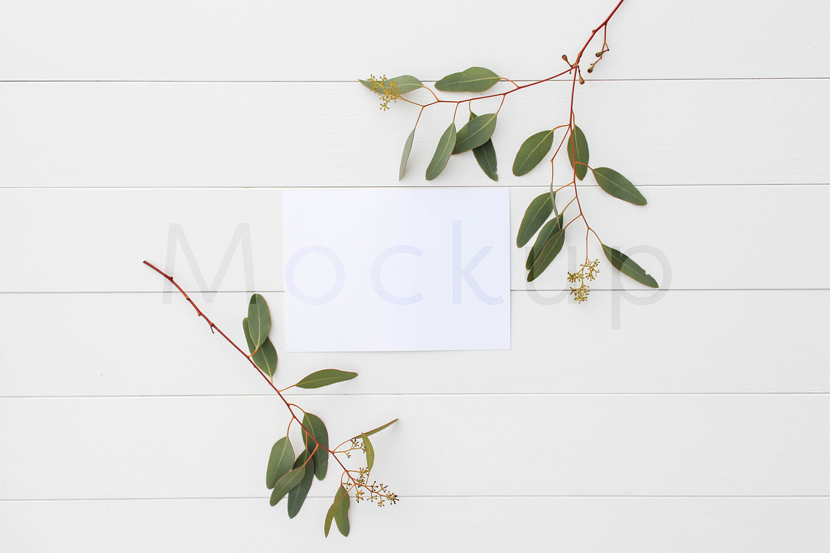 5x7 Stationery Mockup - Eucalyptus 1, a Print Template by ILLONA GRAPHICS (Photo 1 of 5)