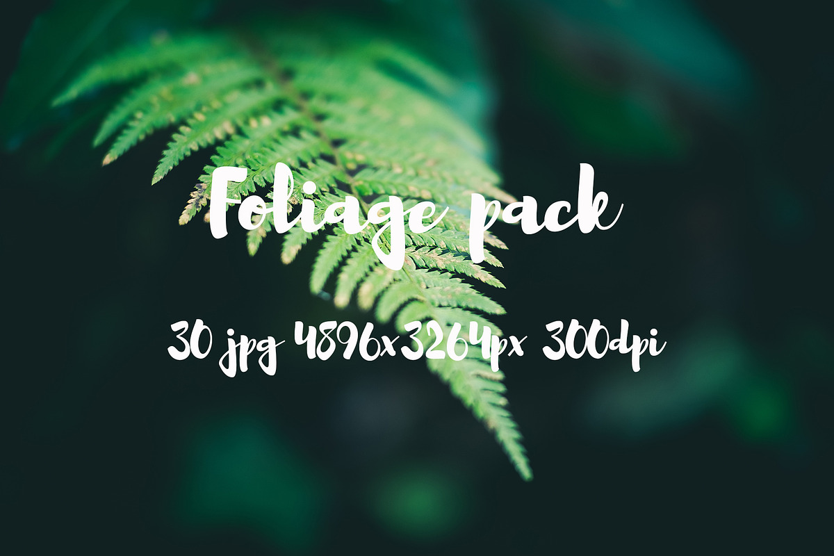 Foliage pack, a Templates & Theme by ApertureVintage (Photo 3 of 21)